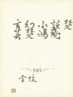 玄幻小说楚风楚芸楚鸿飞封面