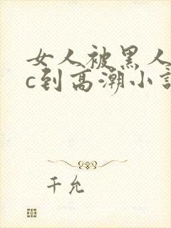 女人被黑人狂躁c到高潮小说