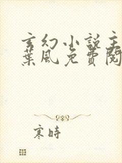 玄幻小说主人公叶风免费阅读