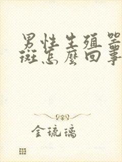 男性生殖器上红斑怎么回事