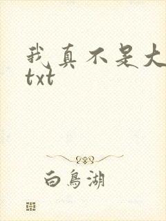 我真不是大佬 txt