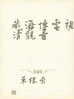 藏海传电视剧高清观看