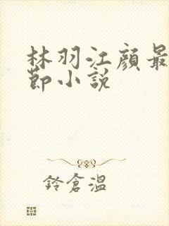 林羽江颜最新章节小说封面