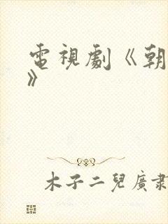 电视剧《朝雪录》