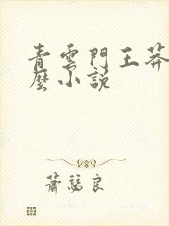 青云门王莽叫什么小说