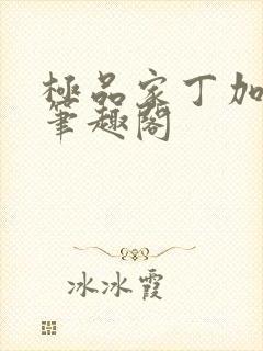 极品家丁加料版笔趣阁