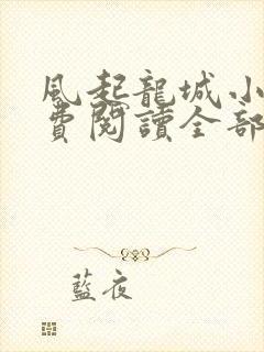 风起龙城小说免费阅读全部