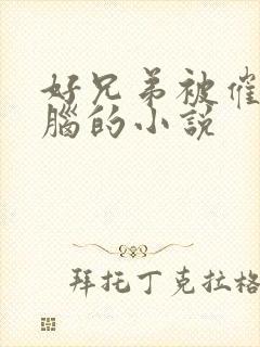 好兄弟被催眠洗脑的小说