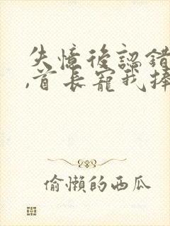 失忆后认错老公,首长宠我捧心尖