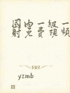 国内一级一片内射免费视频