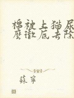 棉被上猫尿味怎么彻底去除