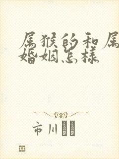 属猴的和属狗的婚姻怎样