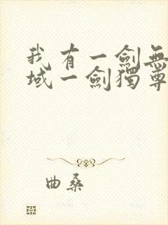 我有一剑无敌剑域一剑独尊先看哪个封面