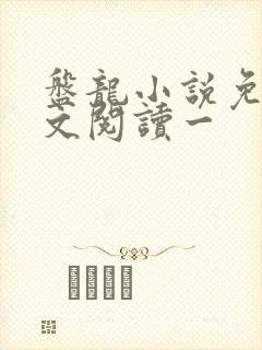 盘龙小说免费全文阅读一封面