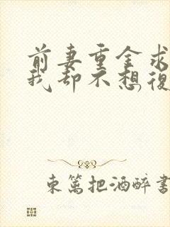 前妻重金求复合我却不想复婚短剧