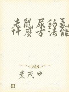 老鼠尿的气味用什么方法能去掉