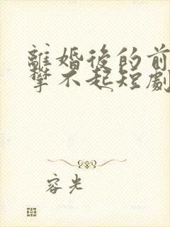 离婚后的前妻高攀不起短剧免费观看