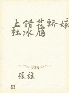 上错花轿嫁对郎杜冰雁