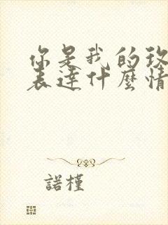 你是我的玫瑰花表达什么情感