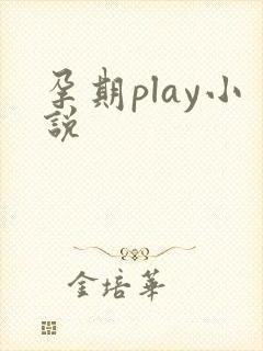 孕期play小说