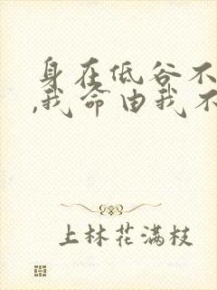 身在低谷不自弃,我命由我不由天