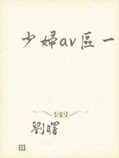 少妇av区一