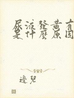 尿液发黄有臭味是什么原因女性