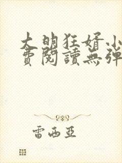 大明狂婿小说免费阅读无弹窗