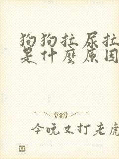 狗狗拉尿拉出血是什么原因