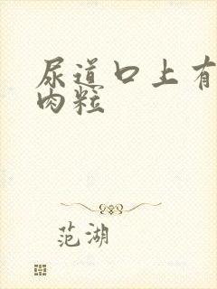 尿道口上有一圈肉粒