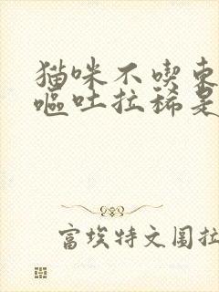 猫咪不吃东西还呕吐拉稀是怎么回事