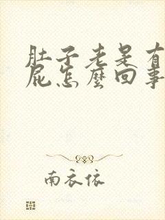 肚子老是有气放屁怎么回事