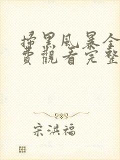 扫黑风暴全集免费观看完整版封面