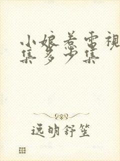 小娘惹电视剧全集多少集