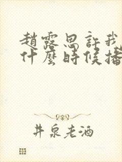 赵露思许我耀眼什么时候播出