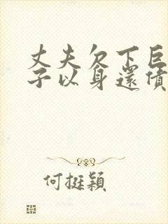 丈夫欠下巨债妻子以身还债电影封面