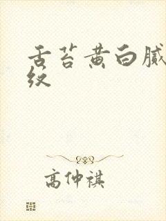 舌苔黄白腻有裂纹