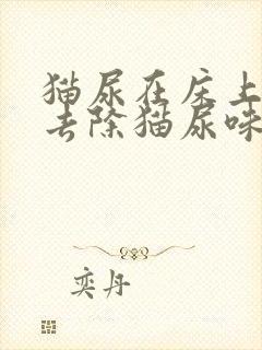 猫尿在床上怎么去除猫尿味