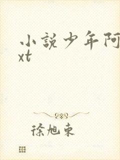 小说少年阿宾txt