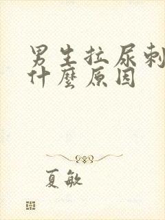 男生拉尿刺痛是什么原因