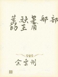 叶秋是哪部小说的主角封面