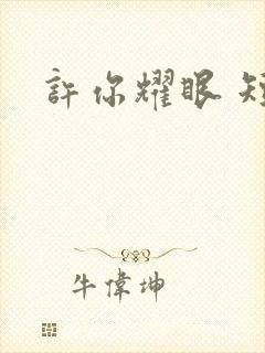 许你耀眼 短剧封面