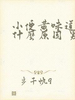 小便黄味道重是什么原因 男性