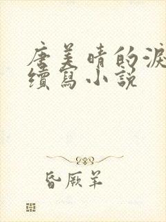 唐美晴的泪结局续写小说封面