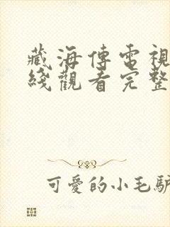 藏海传电视剧在线观看完整版高清封面