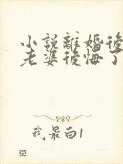 小说离婚后总裁老婆后悔了