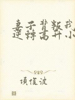 妻子背叛我仕途逆转高升小说