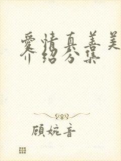 爱情真善美剧情介绍分集