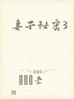 妻子秘密3