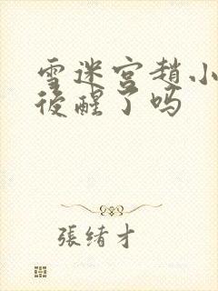 雪迷宫赵小光最后醒了吗封面